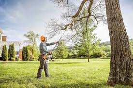 Best Hazardous Tree Removal  in Fountainebleau, FL